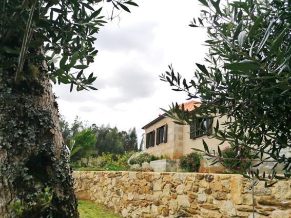 Villa Casa Dos Matos à Ponte de Lima Extérieur photo
