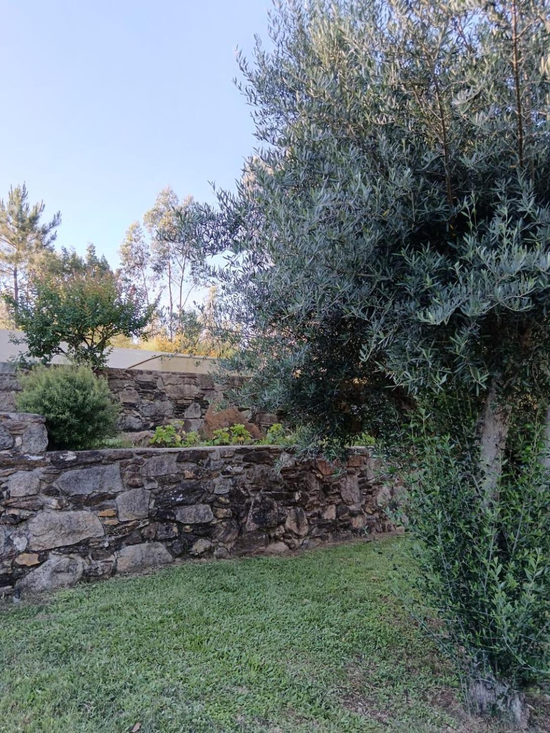 Villa Casa Dos Matos à Ponte de Lima Extérieur photo